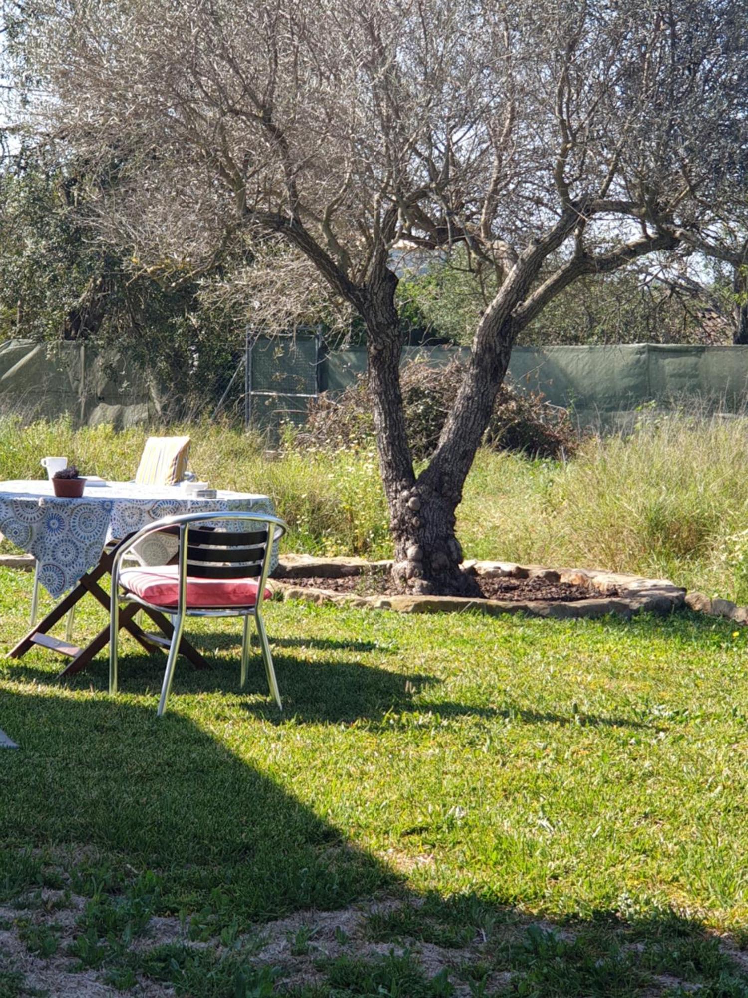 Bauernhof Quinta Dos Cochichos - Country